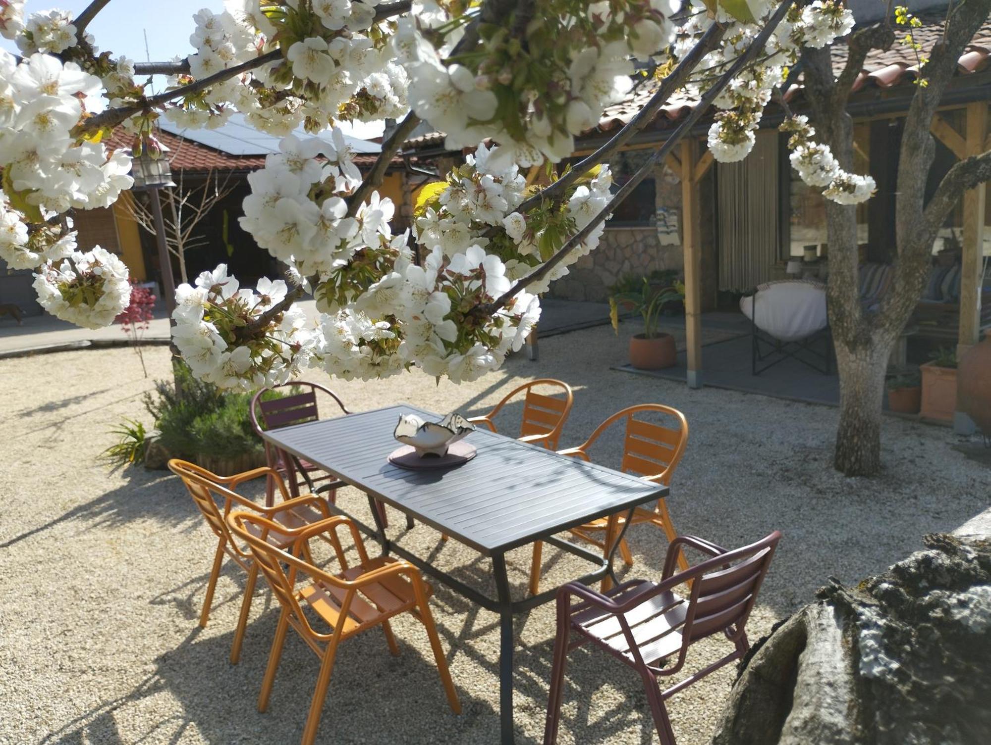 Apartamento Rural Se De Un Lugar El Torno  Extérieur photo